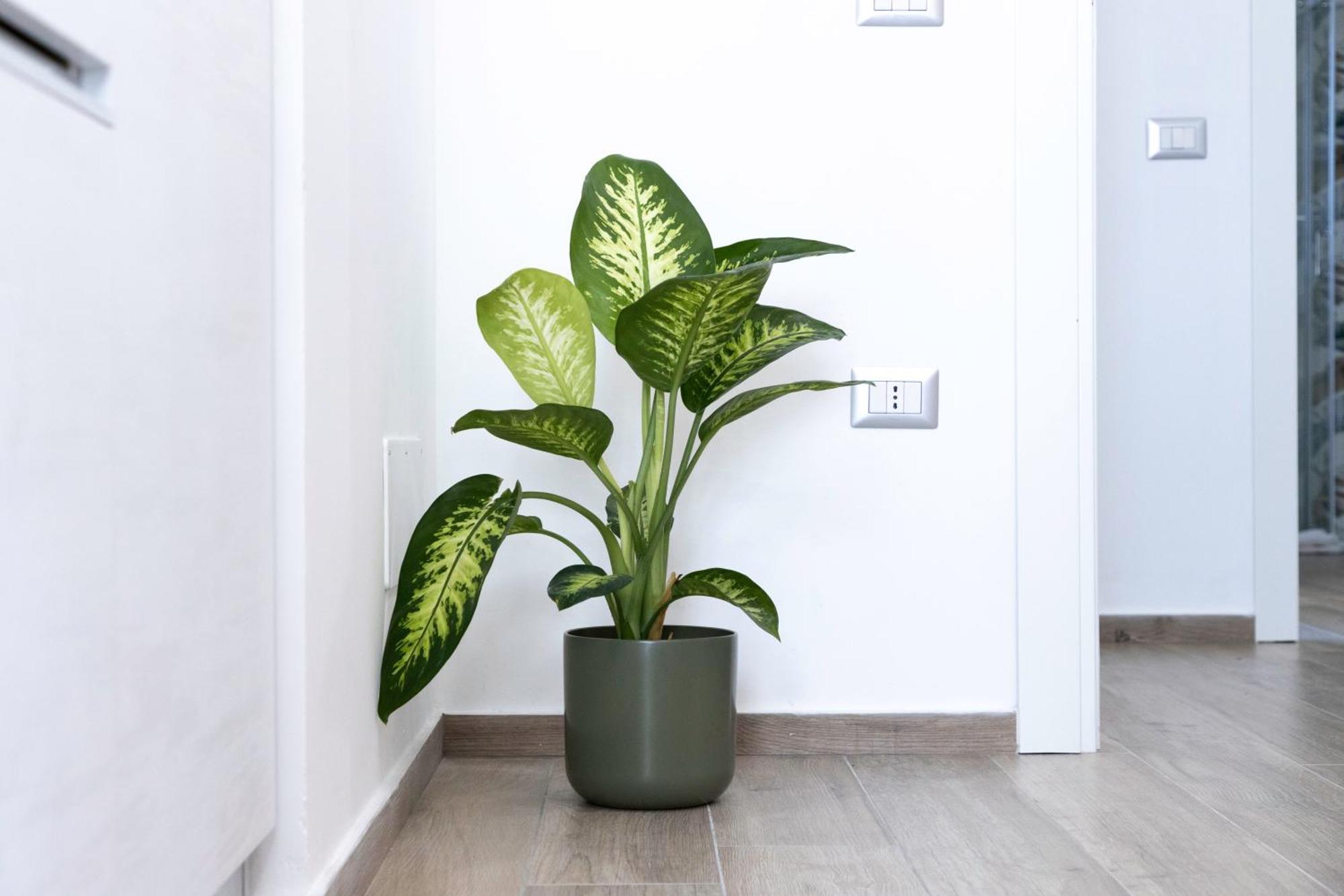 קליארי Quarzo. Modern Rooms מראה חיצוני תמונה